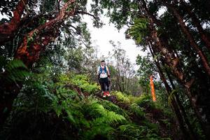 BIB: 
                            <button type="button" onclick="openModal(26203385)" class="btn btn-primary btn-sm float-right btn-popup" data-toggle="modal" data-target=".modal-high-quality">
                        <i class="fas fa-shopping-cart"></i> Add to Cart
                    </button>
                                            <button type="button" onclick="isThisMe(26203385, true)" class="btn btn-success btn-sm float-right btn-popup btn-isme hidden" data-toggle="tooltip" data-placement="bottom" title="นี่คือรูปของคุณใช่ไหม คลิกที่นี่เพื่อเอาเข้าอัลบั้ม">
                        <i class="fas fa-plus"></i> Add to album
                    </button>
                    <button type="button" onclick="isThisMe(26203385, false)" class="btn btn-warning btn-sm float-right btn-popup btn-isnotme hidden">
                        <i class="fas fa-ban"></i> Remove from album
                    </button>